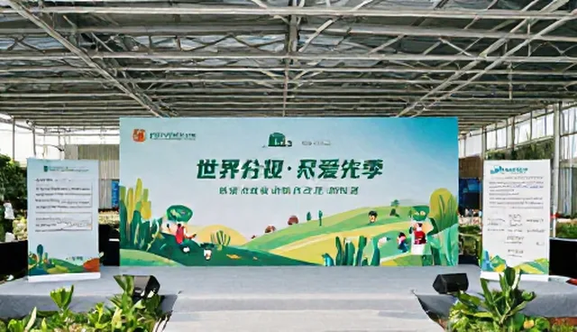 影视策划全流程跟进的适用条件与选择依据